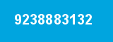 9238883132