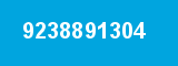 9238891304