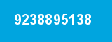9238895138 9238895138
