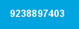 9238897403