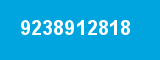 9238912818