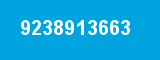 9238913663