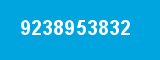 9238953832