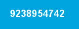 9238954742