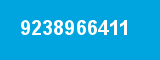 9238966411
