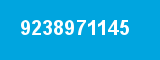9238971145
