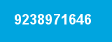 9238971646