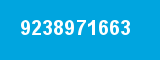 9238971663