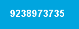 9238973735