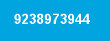 9238973944
