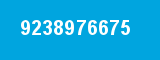 9238976675