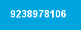 9238978106