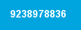 9238978836