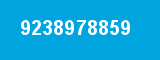 9238978859