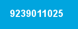 9239011025