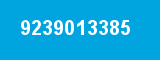 9239013385