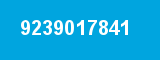 9239017841