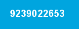 9239022653