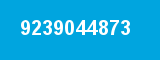 9239044873
