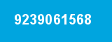 9239061568