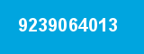 9239064013