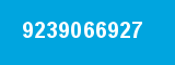 9239066927