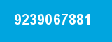 9239067881