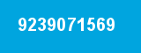 9239071569
