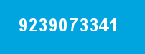 9239073341