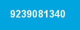 9239081340