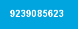 9239085623