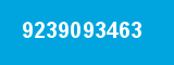 9239093463