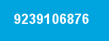 9239106876