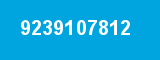 9239107812