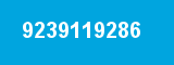 9239119286