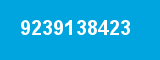9239138423