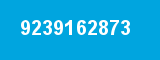 9239162873 9239162873