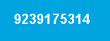 9239175314