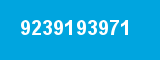 9239193971