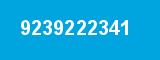9239222341
