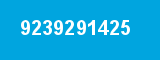 9239291425