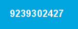 9239302427