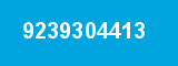 9239304413