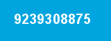 9239308875