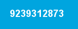 9239312873 9239312873