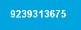 9239313675