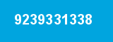 9239331338