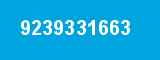 9239331663