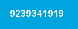 9239341919