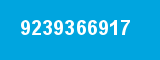 9239366917
